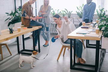 businesswoman playing with jack russel terrier on leash and colleagues standing behind in modern office - obrazy, fototapety, plakaty