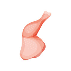 Raw chicken leg, fresh meat concept vector Illustration on a white background
