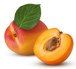Fresh ripe apricot with leaf, one cut in half with bone