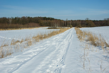 Fototapeta na wymiar Long dirt road in winter