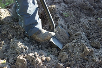 Working in the garden - spade foot and  boot