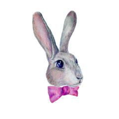 Watercolor rabbit with bow tie. Hand drawn illustration isolated on white background.