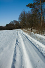 Fototapeta na wymiar Snow-covered road at the forest