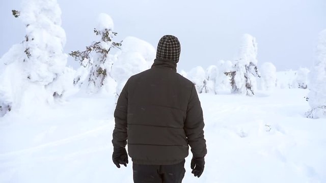 Man hiking in snowy forest, walking view bypassing snow covered pine tree, in a winter wonderland on a fjeld mountain fell, in Riisitunturi national park, Lapland, Finland