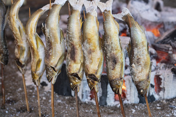 Street food in Japan. Fresh fish grill with salted.