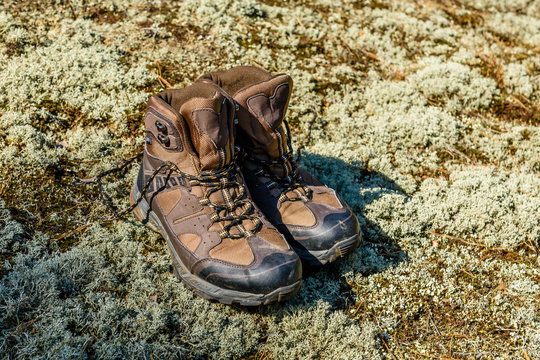 Touristic boots on ground in a forest