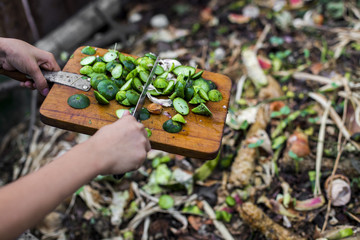 child's hands throwing out kitchen waste from the vintage cutting board to the garden compost heap...