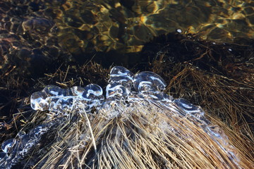 ice in the river