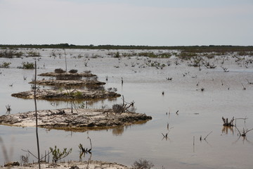 islands in the water