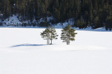 island in the snow