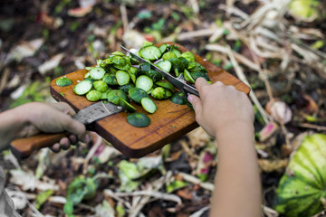 child's hands throwing out kitchen waste from the vintage cutting board to the garden compost heap...