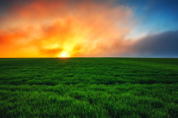 Spring Landscape with Wheat Field and Clouds