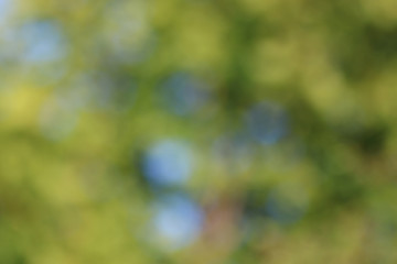 background green abstract