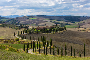 Landscape of hills, country road, cypresses trees and rural houses,Tuscany , rural Italy