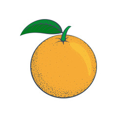 Colorful orange with a green leaf