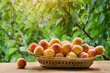 Wicker basket apricot on a green background. Daylight