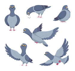Cartoon set of funny pigeons. Illustrations of birds