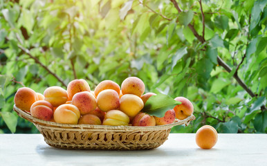 Wicker basket apricot on a green background. Daylight