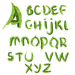 Tropical alphabet made of banana palm leaves. Hand drawn green paradice abc. Natural summer letters.   illustrated design