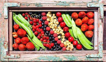 Colorful fruits picture in frame