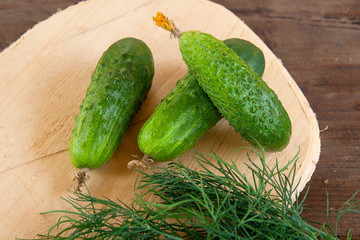 Cucumbers and bunch of fresh organic dill on a rustic wooden background.