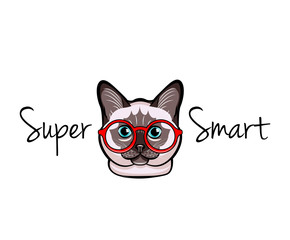 Cat face in glasses. Super smart.  illustration isolated on white