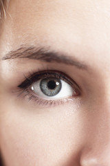 Obraz premium close up.beautiful women eye. macro image