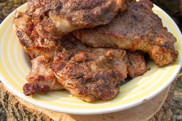 Close up view of juicy pork steak cooked on an open flame grill on big white plate..