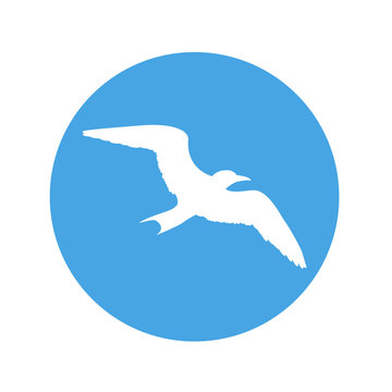 Icono plano silueta gaviota en circulo azul