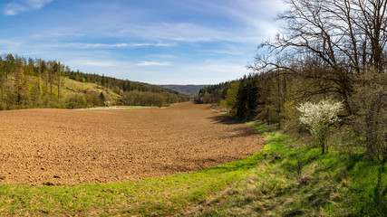 Fototapeta na wymiar Plowed field, forest and blue sky with clouds