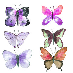 Fototapeta na wymiar set of colorful watercolor illustrations of butterflies