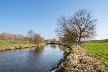 Early spring landscape with green meadow, river and trees