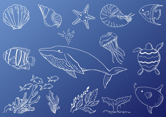 Obraz premium 線画 海の生き物 セット素材