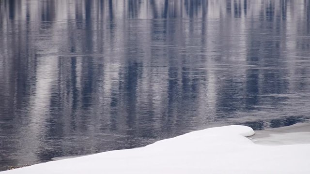 Reflection of forest in the water of Altai Biya river in winter season