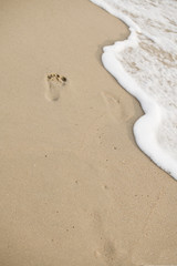Footprints walking on the beach by the morning   