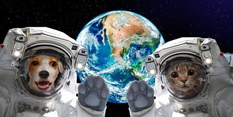 Cat and dog astronauts on the background of the globe. Elements of this image furnished by NASA.jpg