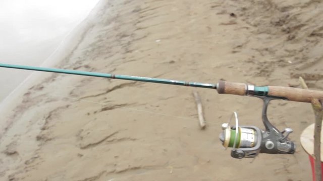 The roach fell from the hook  The fisherman sharply marked and pulled out the roach, but the fish broke off the hook and jumped to the river