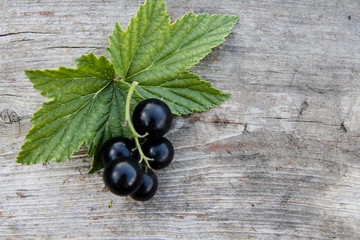 black currant close-up