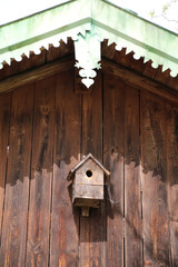 starenkasten unterm dach