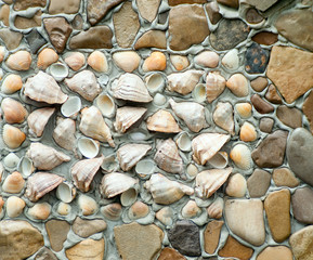 Lined with rocks and seashells wall background