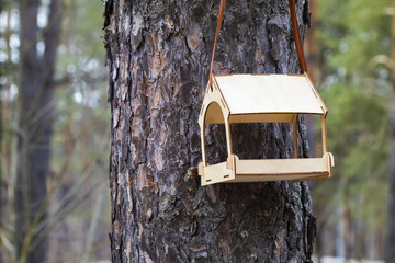 bird feeder on a tree in the Park