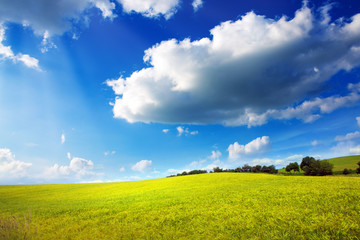 Sunset in German summer meadow.