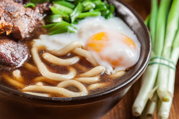 Japanese Udon noodles with beef, egg, green onion and soup