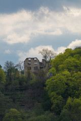 Fototapeta na wymiar burgruine landskrone über oppenheim
