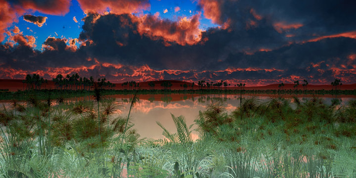 oasis in desert