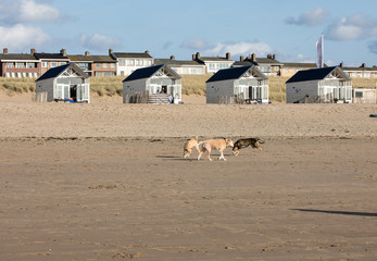   Row white beach houses at the Dutch coast in Katwijk, Netherlands