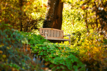Relaxing place in the park under a big tree. Wood bench in the park hidden by lush green vegetation in the evening.