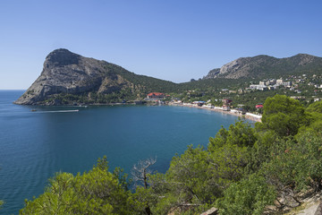 Naklejka premium Relict forest on the Black Sea coast.