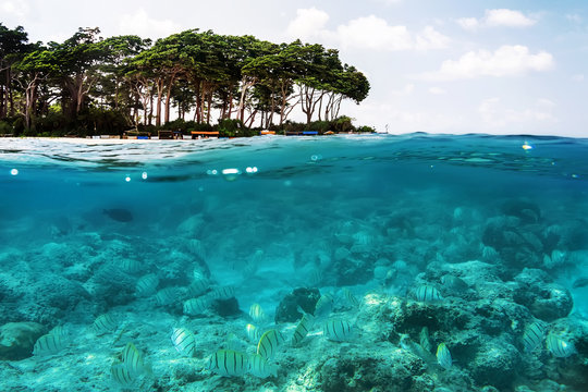 2 446 Best Ocean Above And Below Images Stock Photos Vectors Adobe Stock 2 446 Best Ocean Above And Below Images Stock Photos Vectors Adobe Stock