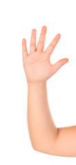 Hand of a boy showing his five fingers